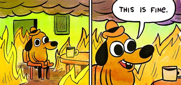 This is fine dog meme